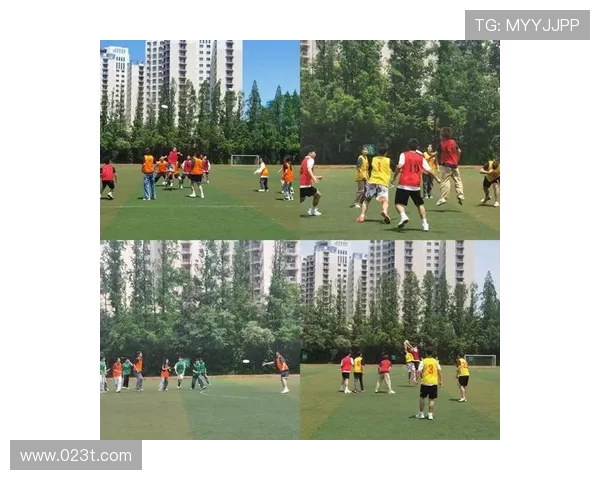 成都飞盘队如何通过比赛经验变革提升竞技水平与团队协作能力