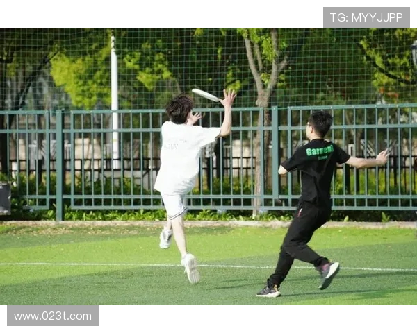 科学飞盘运动中的耐力训练技巧与方法探索